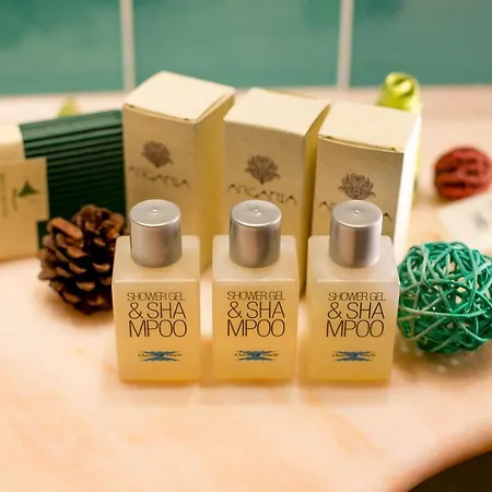 酒店 米翁酒店 锡尔维玛丽娜