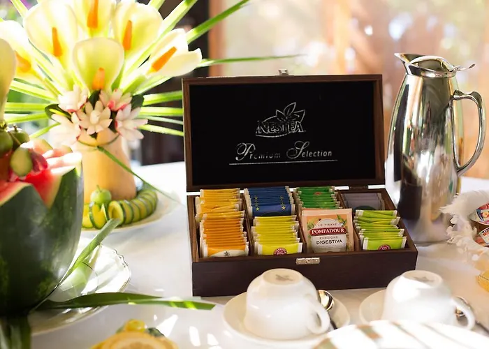 Hotel Lh Mion Silvi Marina